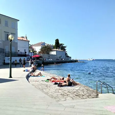 Old Town Charmer Apartament